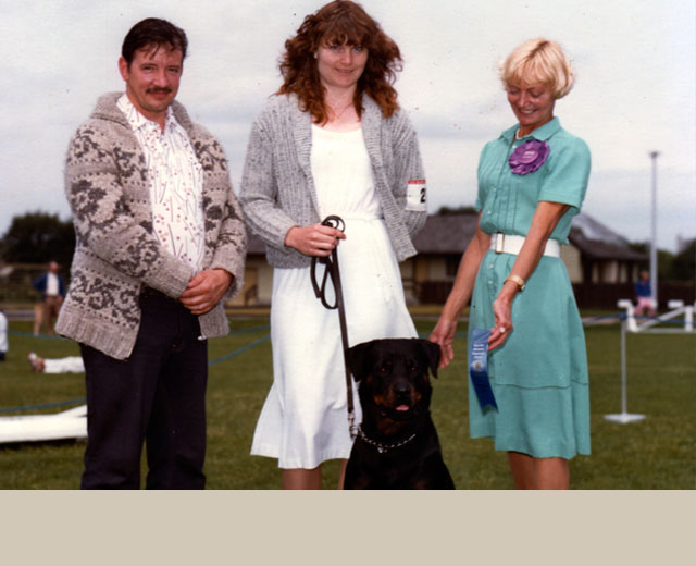 Obedience Classes Surrey Dog Obedience Training Club