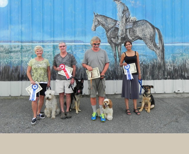 Obedience Classes Surrey Dog Obedience Training Club